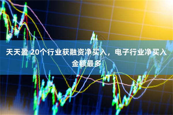 天天盈 20个行业获融资净买入，电子行业净买入金额最多
