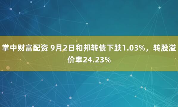 掌中财富配资 9月2日和邦转债下跌1.03%，转股溢价率24.23%
