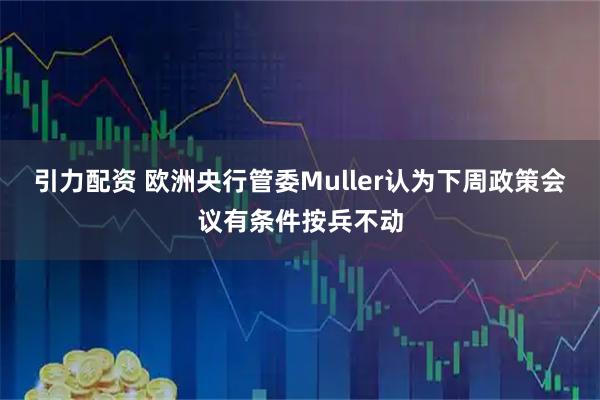 引力配资 欧洲央行管委Muller认为下周政策会议有条件按兵不动