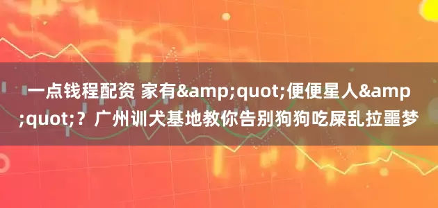 一点钱程配资 家有"便便星人"？广州训犬基地教你告别狗狗吃屎乱拉噩梦