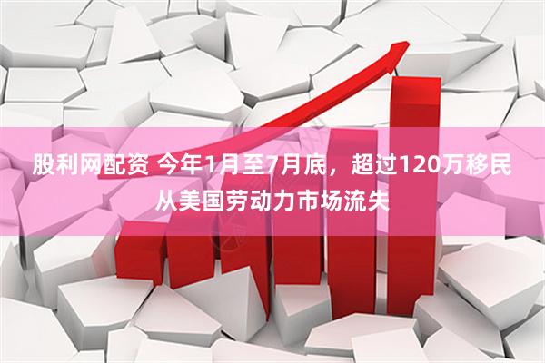股利网配资 今年1月至7月底，超过120万移民从美国劳动力市场流失